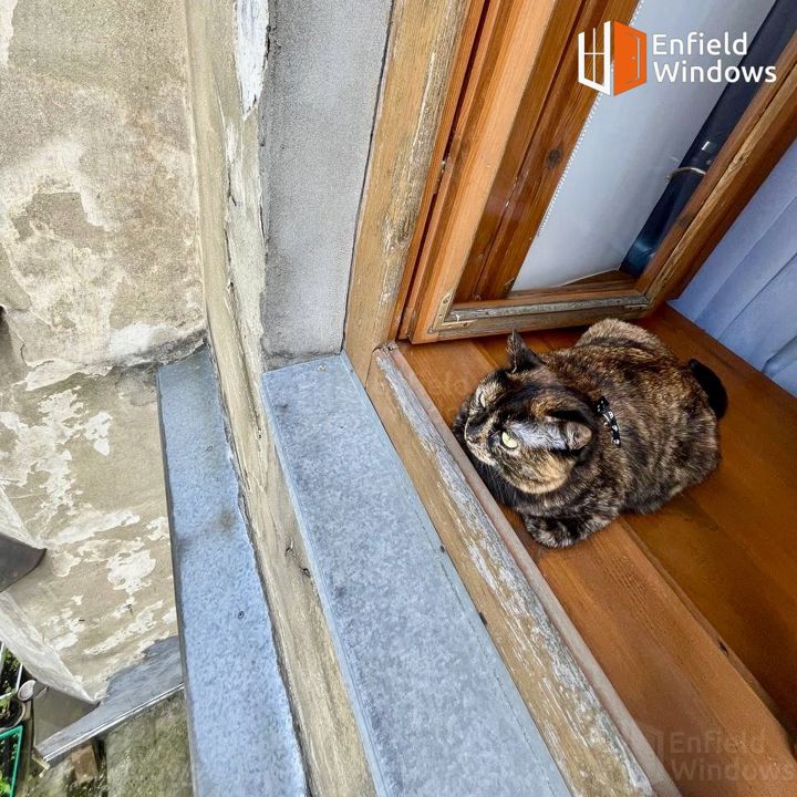 антикошка для деревянных окон