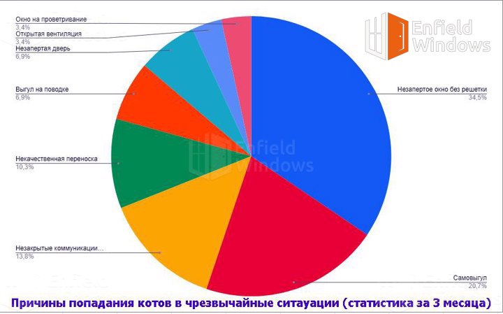  статистика котячих травм