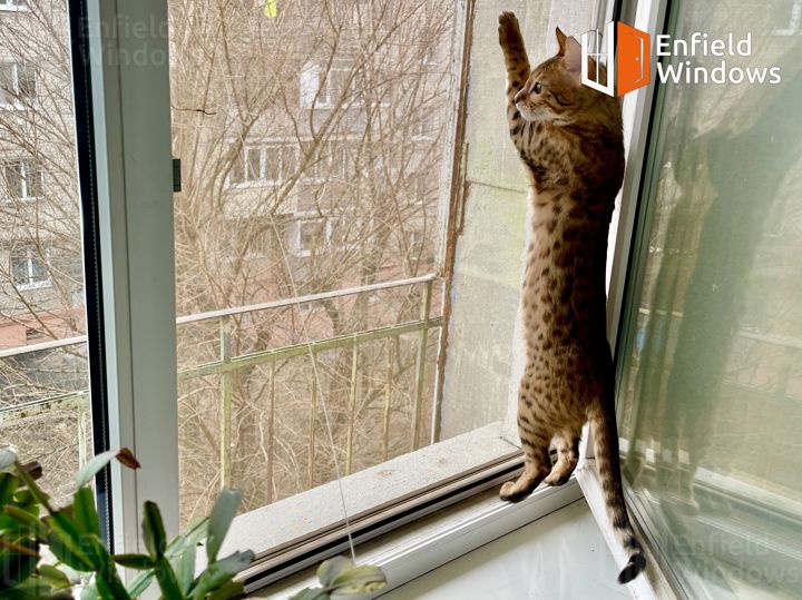 москітна сітка антикішка Вінниця